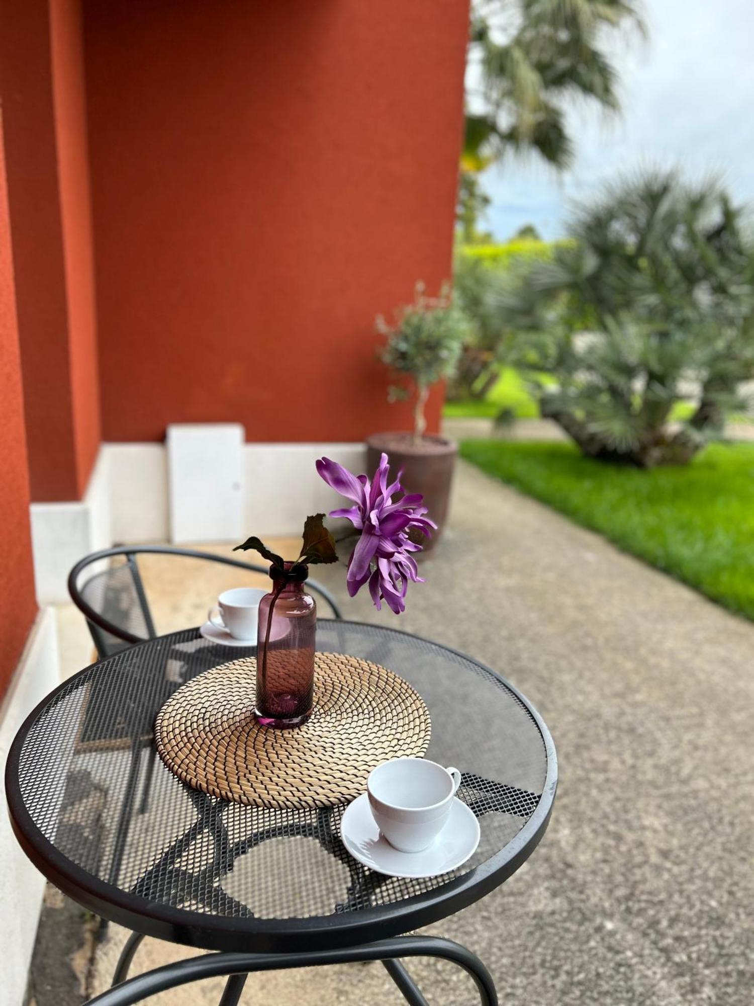 Ivni Apartmani Novigrad Istria Exterior foto